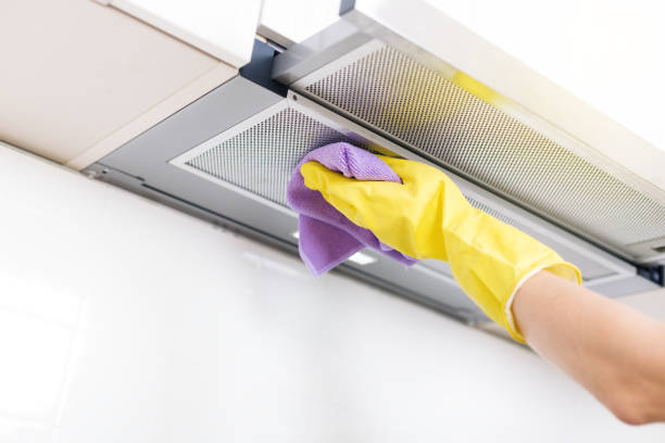 Air Duct Mold Removal in Broadview Park, FL